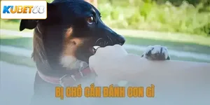 Bị Chó Cắn Đánh Con Gì
