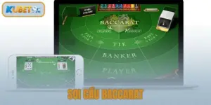 Soi cầu Baccarat